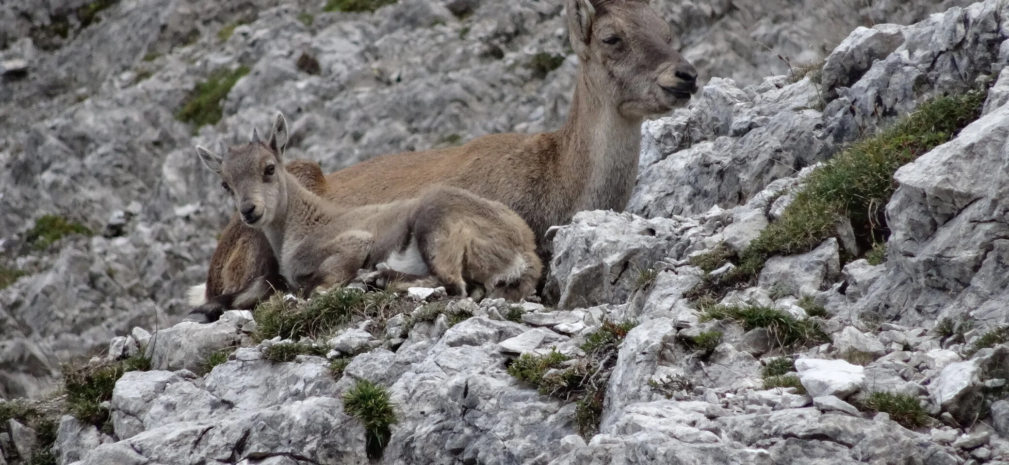 © DAV Biberach © DAV Biberach