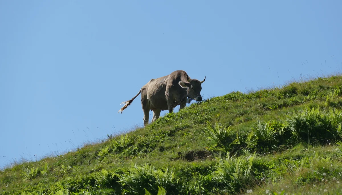 © DAV Biberach © DAV Biberach