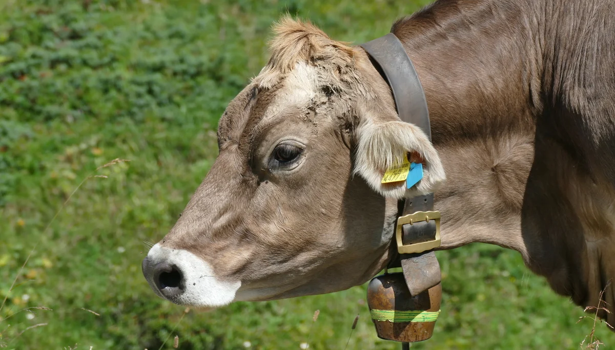 © DAV Biberach © DAV Biberach