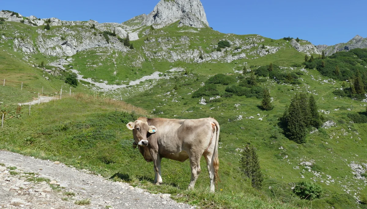 © DAV Biberach © DAV Biberach