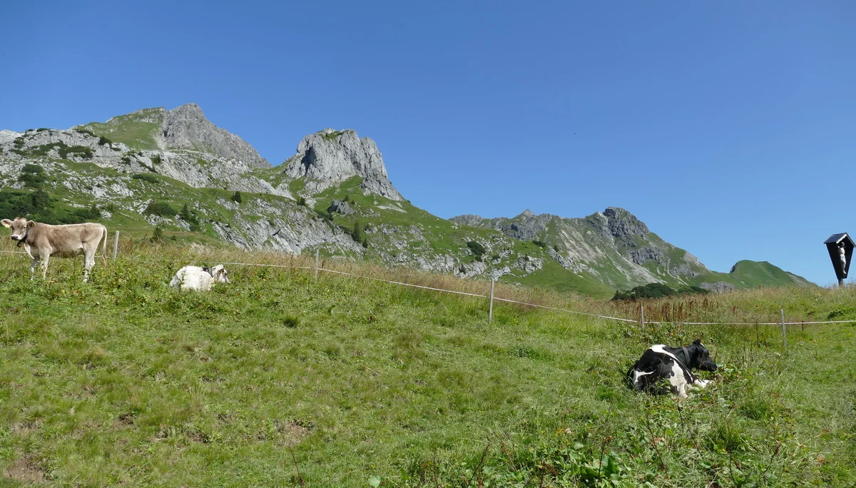 © DAV Biberach © DAV Biberach